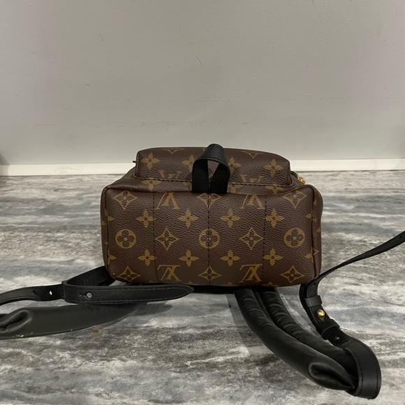 Louis Vuitton Palm Springs PM Backpack - Picture 3 of 6